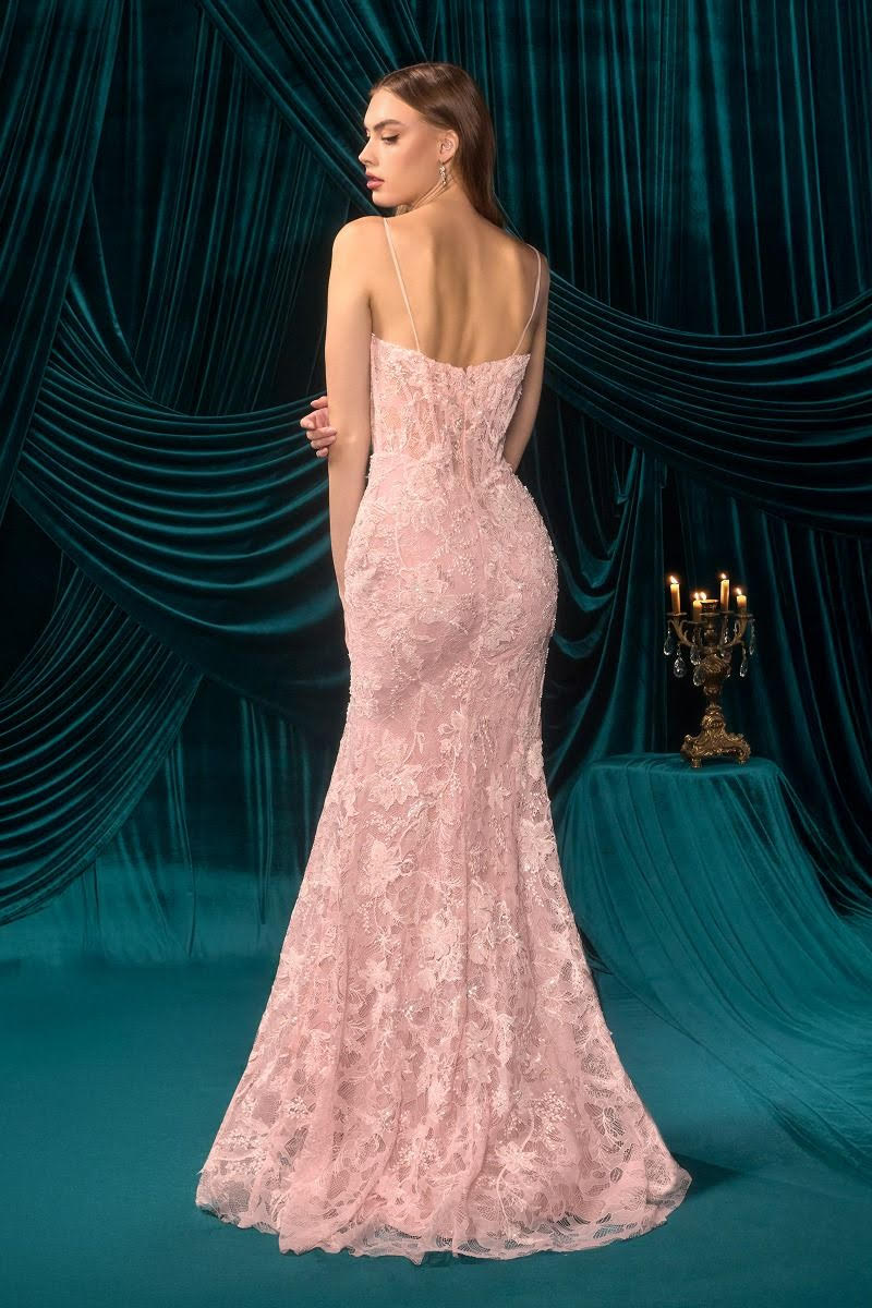 AL Ribbon Lacey Pink Gown