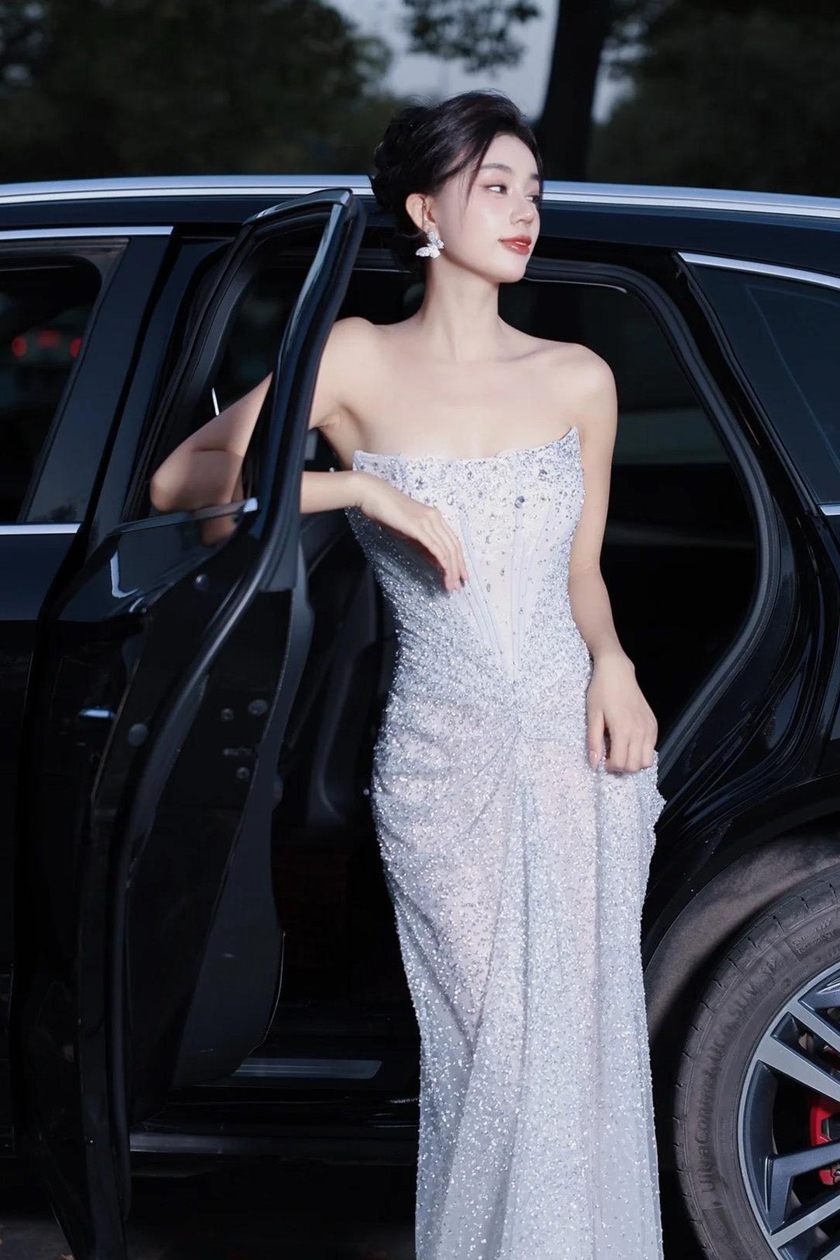 CS Sheila SIlver Mermaid Gown