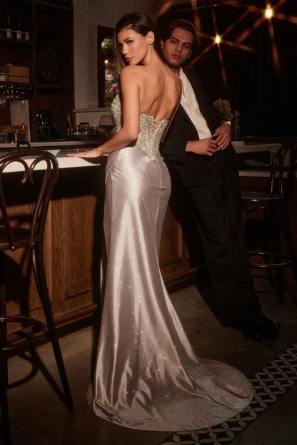 CD Hestia Silver Gown