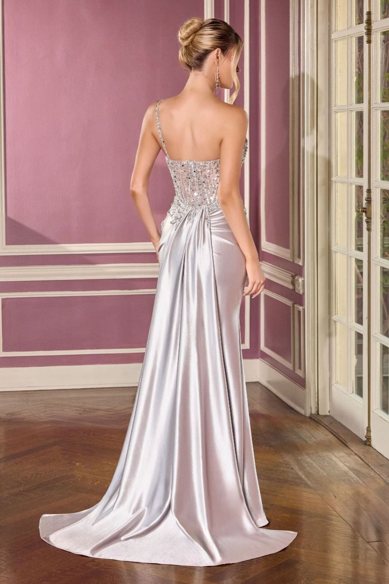 CD Butterfly Silver Gown