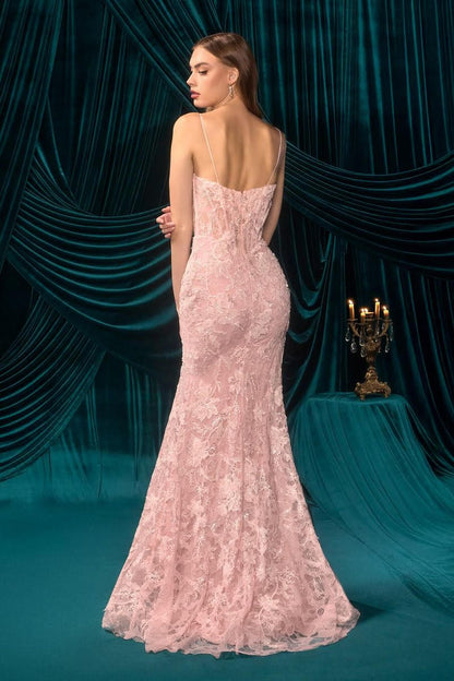 AL Ribbon Lacey Pink Gown